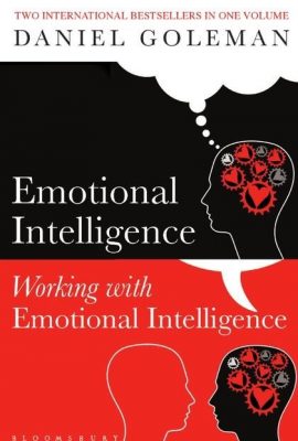 Working with Emotional Intelligence