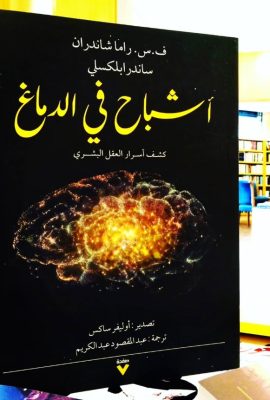 أشباح في الدماغ ؛ كشف أسرار العقل البشري