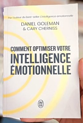 Comment optimiser votre intelligence émotionnelle